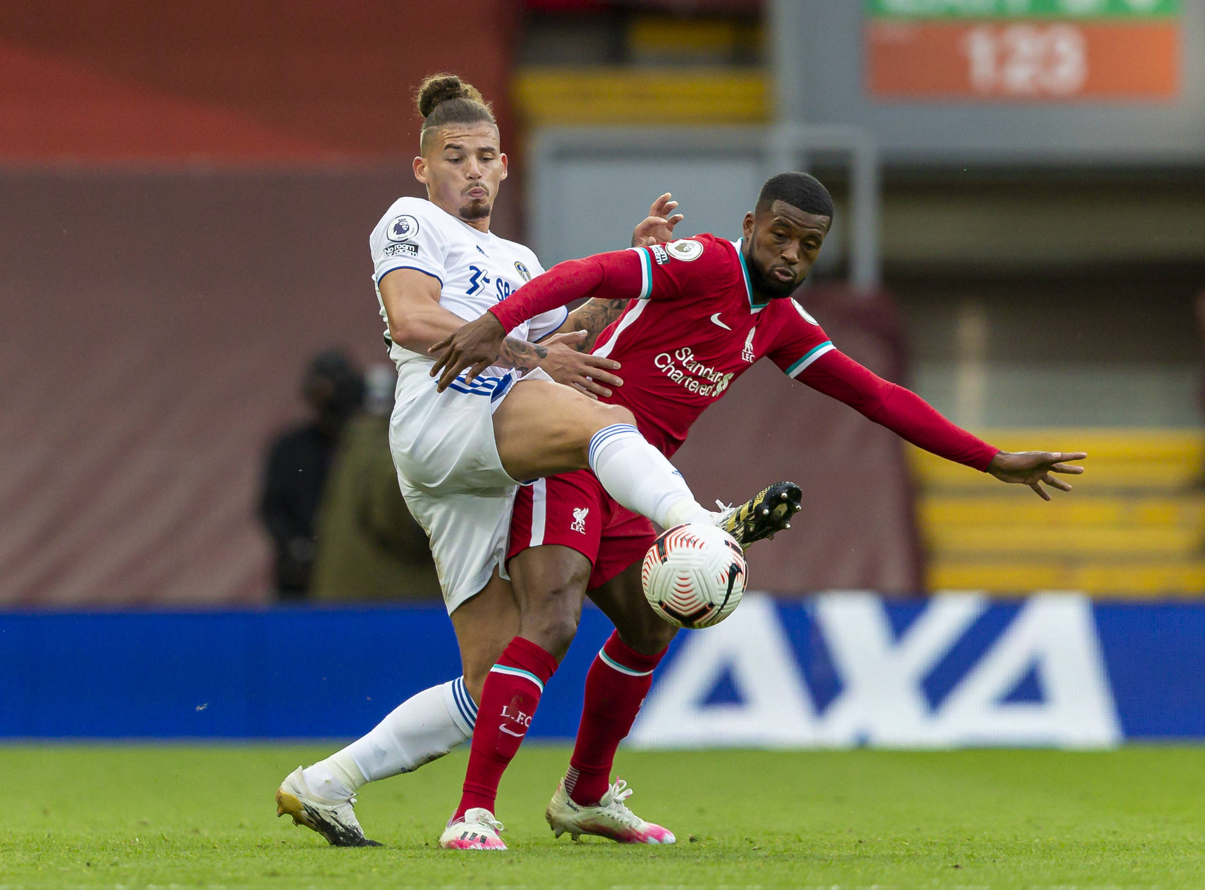 的公牛展现 的公牛展现