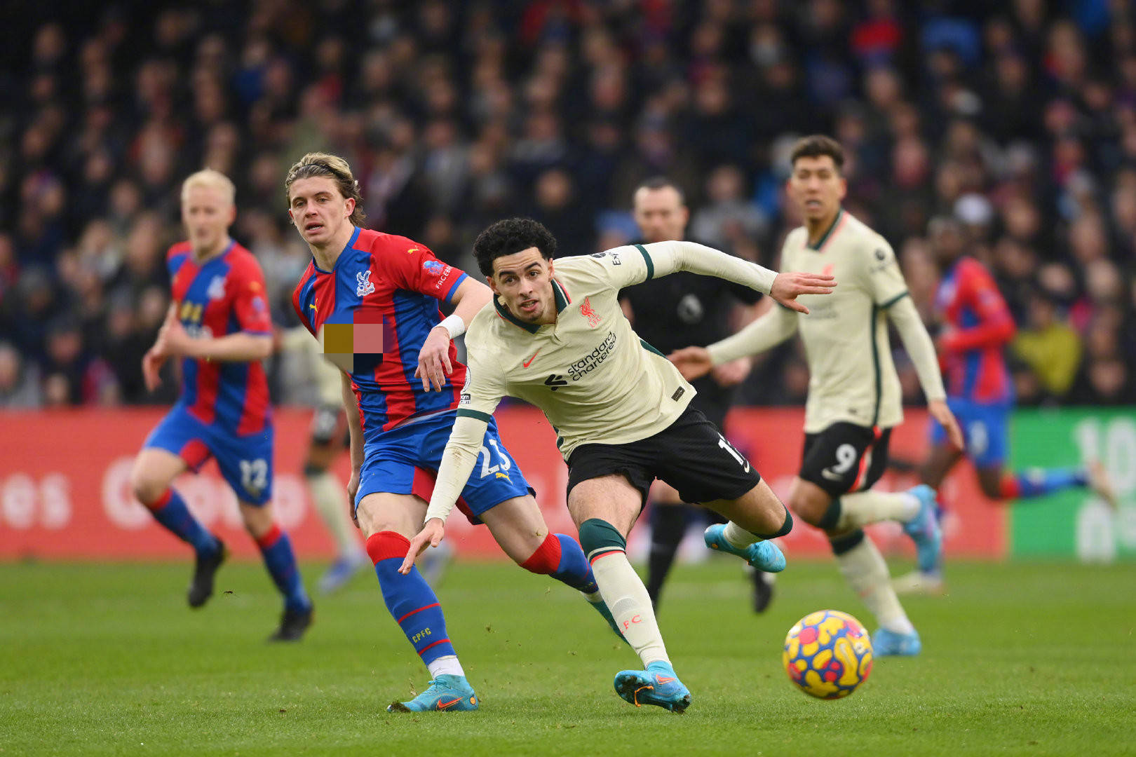 印证这一观 印证这一观